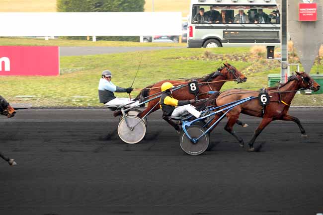 Photo d'arrivée de la course pmu PRIX D'AGEN à PARIS-VINCENNES le Samedi 21 janvier 2017