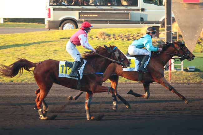 Photo d'arrivée de la course pmu PRIX DE PORNICHET à PARIS-VINCENNES le Samedi 21 janvier 2017