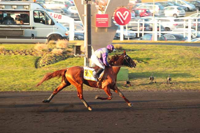 Photo d'arrivée de la course pmu PRIX CAMILLE DE WAZIERES à PARIS-VINCENNES le Dimanche 22 janvier 2017