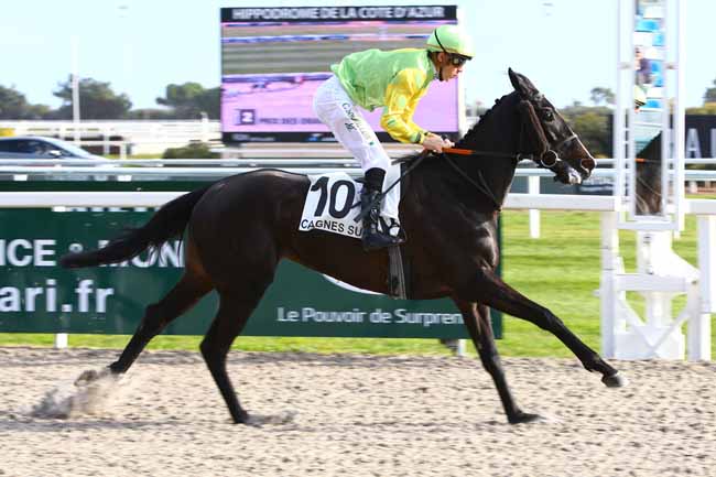 Photo d'arrivée de la course pmu PRIX DES ORANGERS à CAGNES-SUR-MER le Lundi 23 janvier 2017