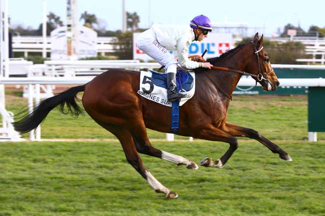 Photo d'arrivée de la course pmu PRIX DES ILES DES EMBIEZ à CAGNES-SUR-MER le Lundi 23 janvier 2017