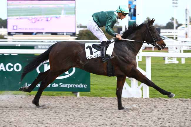 Photo d'arrivée de la course pmu PRIX DU ROUSSILLON à CAGNES-SUR-MER le Lundi 23 janvier 2017