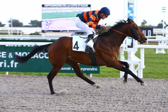 Photo d'arrivée de la course pmu PRIX DU SERPOLET à CAGNES-SUR-MER le Lundi 23 janvier 2017