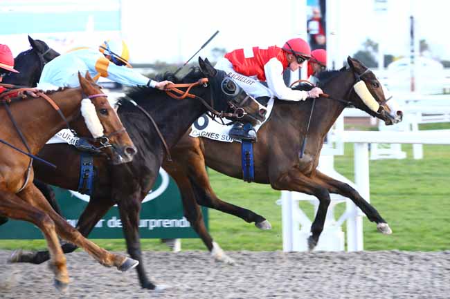 Photo d'arrivée de la course pmu PRIX DES CITRONNIERS à CAGNES-SUR-MER le Lundi 23 janvier 2017