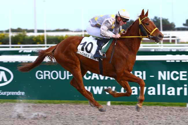 Photo d'arrivée de la course pmu PRIX DE CATALOGNE à CAGNES-SUR-MER le Lundi 23 janvier 2017