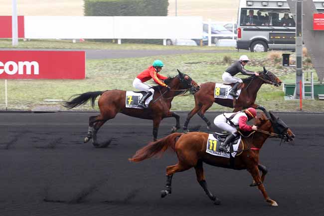 Photo d'arrivée de la course pmu PRIX DE MONTFORT à PARIS-VINCENNES le Lundi 23 janvier 2017