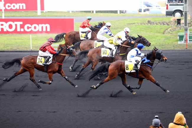 Photo d'arrivée de la course pmu PRIX DE PONTRIEUX à PARIS-VINCENNES le Lundi 23 janvier 2017