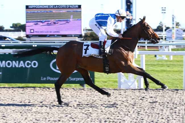 Photo d'arrivée de la course pmu PRIX DES ILES DE LERINS à CAGNES-SUR-MER le Mardi 24 janvier 2017