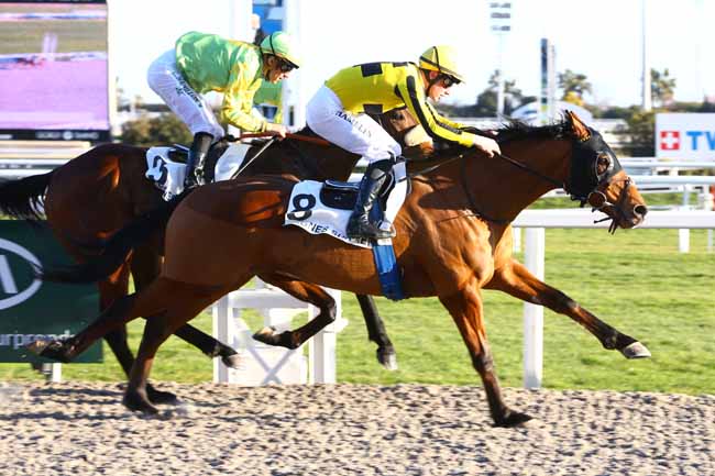Photo d'arrivée de la course pmu PRIX DES OLIVIERS à CAGNES-SUR-MER le Mardi 24 janvier 2017