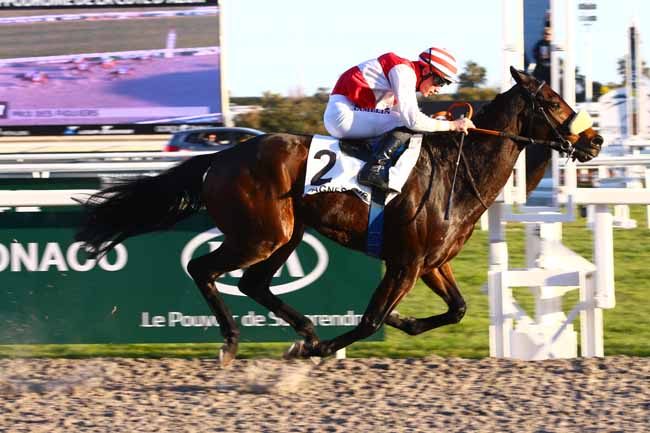 Photo d'arrivée de la course pmu PRIX DES FIGUIERS à CAGNES-SUR-MER le Mardi 24 janvier 2017