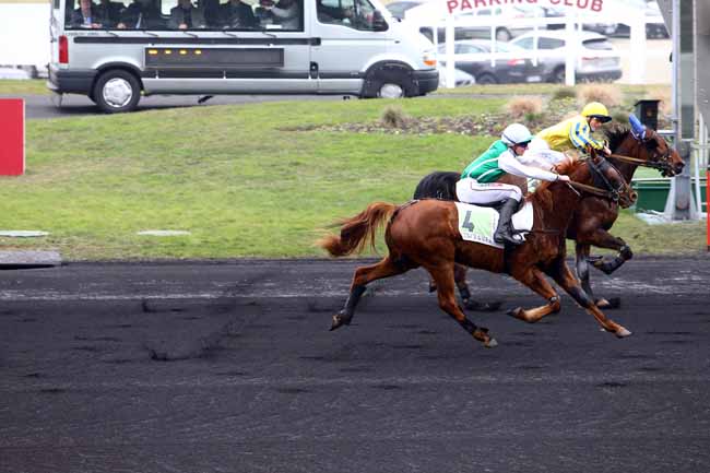 Photo d'arrivée de la course pmu PRIX DE CHATEAUROUX à PARIS-VINCENNES le Mardi 24 janvier 2017