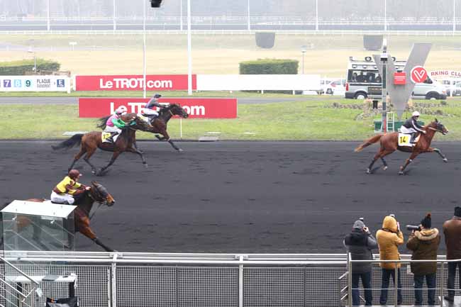 Photo d'arrivée de la course pmu PRIX DE CORLAY à PARIS-VINCENNES le Mardi 24 janvier 2017