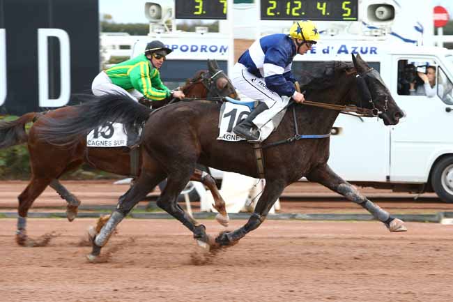 Photo d'arrivée de la course pmu PRIX KRAMA KALL à CAGNES-SUR-MER le Mercredi 25 janvier 2017