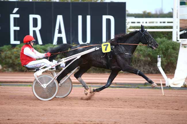 Photo d'arrivée de la course pmu PRIX TIGRE ROYAL à CAGNES-SUR-MER le Mercredi 25 janvier 2017