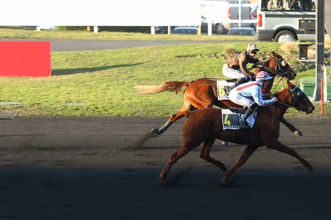 Photo d'arrivée de la course pmu PRIX DE VIENNE-KRIEAU à PARIS-VINCENNES le Jeudi 26 janvier 2017