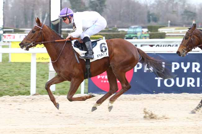 Photo d'arrivée de la course pmu PRIX D'ANGLET à PAU le Vendredi 27 janvier 2017