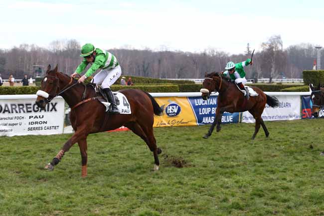 Photo d'arrivée de la course pmu PRIX LOUIS LA CAZE à PAU le Vendredi 27 janvier 2017