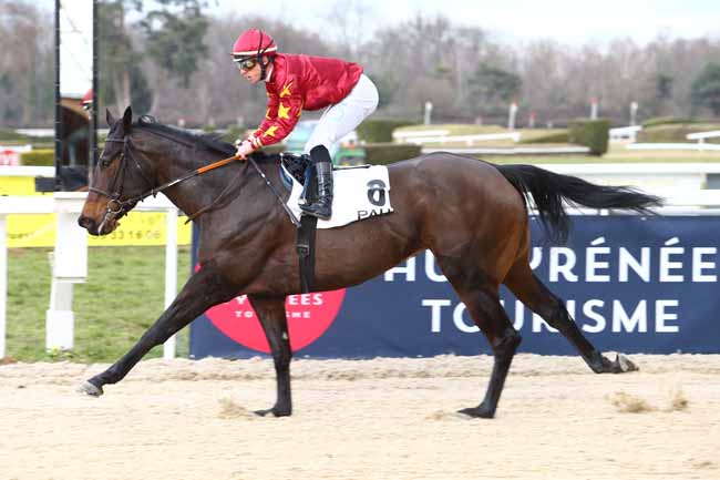 Photo d'arrivée de la course pmu PRIX DE LESCUN à PAU le Vendredi 27 janvier 2017