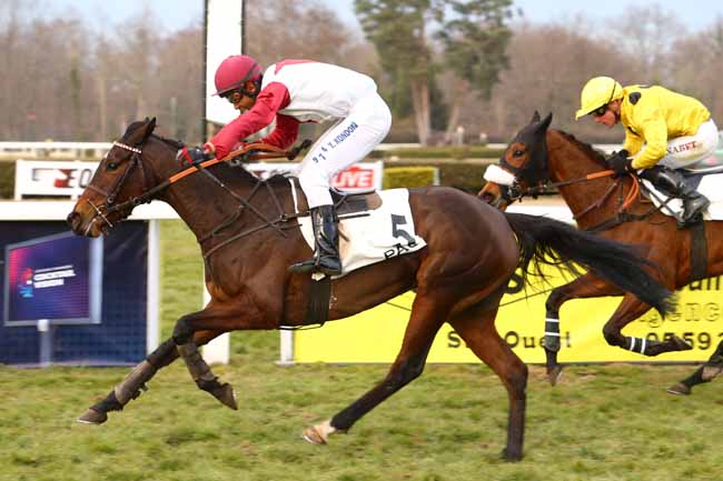 Photo d'arrivée de la course pmu PRIX HENRI DE FRANCLIEU à PAU le Vendredi 27 janvier 2017