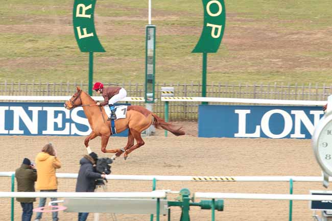 Photo d'arrivée de la course pmu PRIX DU CARREFOUR LAVERSIN à CHANTILLY le Vendredi 27 janvier 2017
