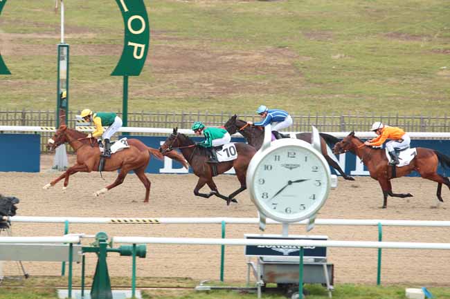 Photo d'arrivée de la course pmu PRIX DU PIC HARDI à CHANTILLY le Vendredi 27 janvier 2017