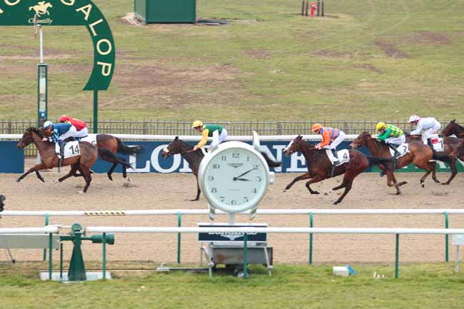 Photo d'arrivée de la course pmu PRIX DE LA HAUTE POMMERAYE à CHANTILLY le Vendredi 27 janvier 2017