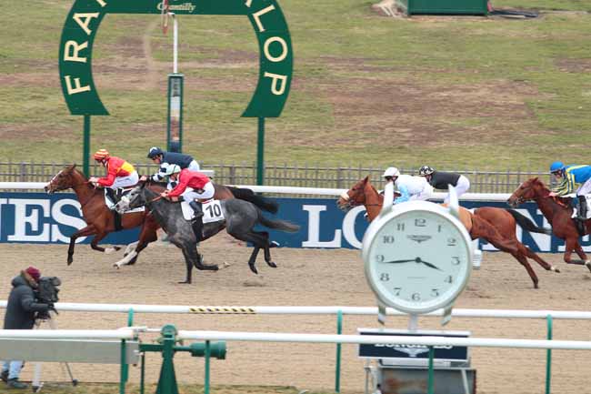 Photo d'arrivée de la course pmu PRIX DU CHEMIN DU BAC à CHANTILLY le Vendredi 27 janvier 2017