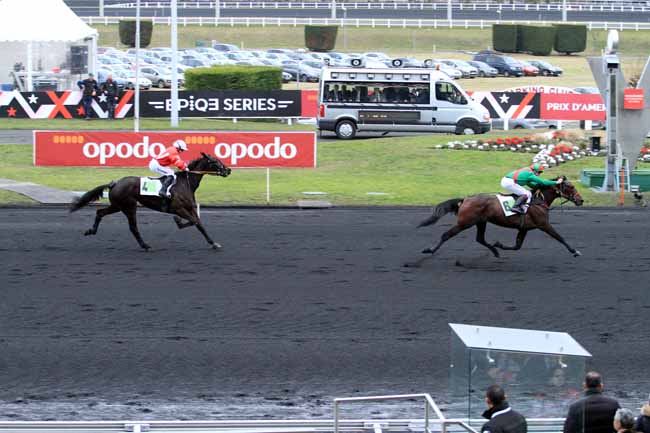 Photo d'arrivée de la course pmu PRIX DE PARAY-LE-MONIAL à PARIS-VINCENNES le Samedi 28 janvier 2017