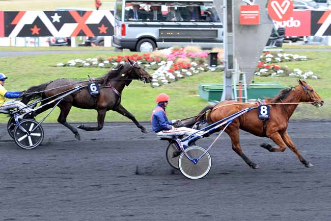 Photo d'arrivée de la course pmu PRIX DU LUXEMBOURG à PARIS-VINCENNES le Samedi 28 janvier 2017