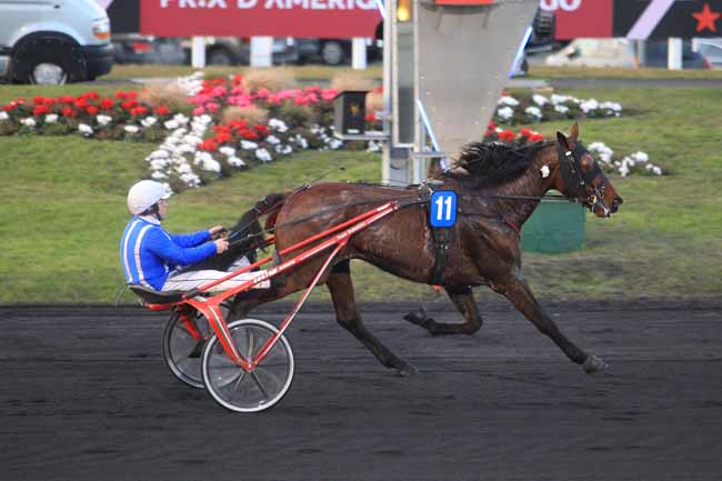 Photo d'arrivée de la course pmu COUPE D'EUROPE DES AMATEURS - PRIX DE SAINT-CLAUDE à PARIS-VINCENNES le Samedi 28 janvier 2017