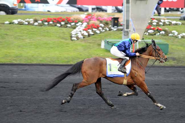 Photo d'arrivée de la course pmu PRIX JACQUES ANDRIEU à PARIS-VINCENNES le Dimanche 29 janvier 2017