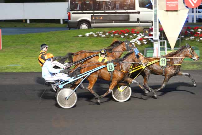 Photo d'arrivée de la course pmu PRIX DE FLEURANCE à PARIS-VINCENNES le Lundi 30 janvier 2017