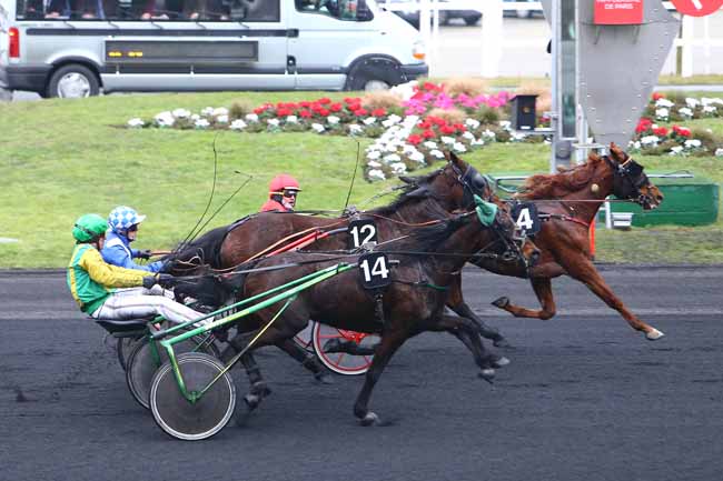 Photo d'arrivée de la course pmu PRIX DE VITTEAUX à PARIS-VINCENNES le Mardi 31 janvier 2017