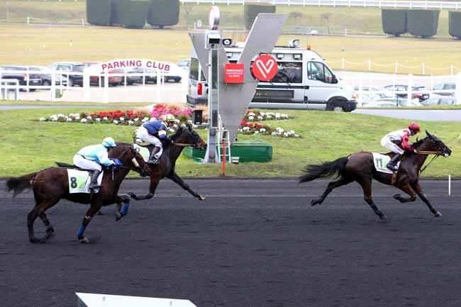 Photo d'arrivée de la course pmu PRIX DE CHOLET à PARIS-VINCENNES le Mardi 31 janvier 2017