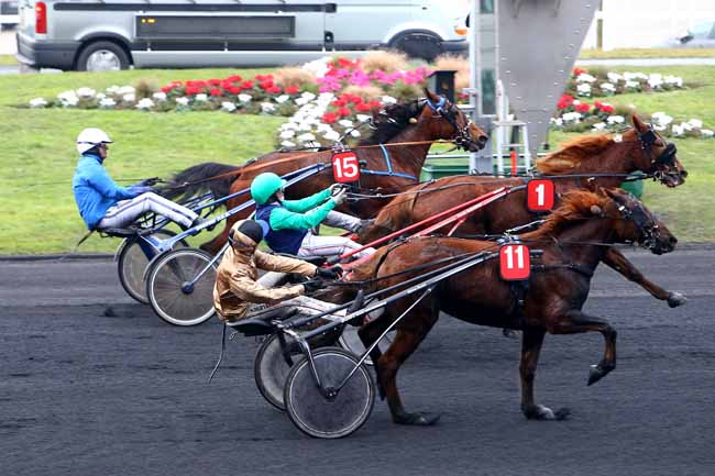Photo d'arrivée de la course pmu PRIX DE VITTEL à PARIS-VINCENNES le Mardi 31 janvier 2017