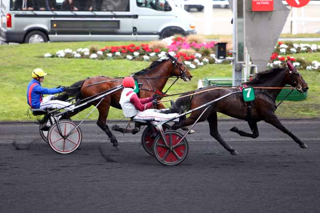 Photo d'arrivée de la course pmu PRIX D'AMBERT à PARIS-VINCENNES le Mardi 31 janvier 2017
