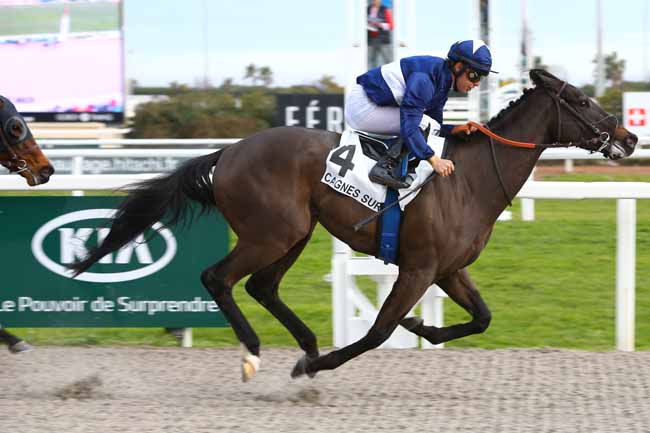 Photo d'arrivée de la course pmu PRIX DE THEOULE-SUR-MER à CAGNES-SUR-MER le Mercredi 1 février 2017
