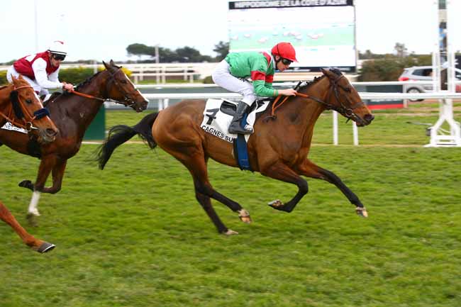 Photo d'arrivée de la course pmu PRIX DE CIMIEZ à CAGNES-SUR-MER le Mercredi 1 février 2017