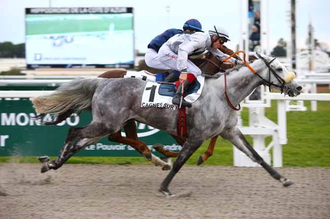 Photo d'arrivée de la course pmu PRIX DES HORTENSIAS à CAGNES-SUR-MER le Mercredi 1 février 2017
