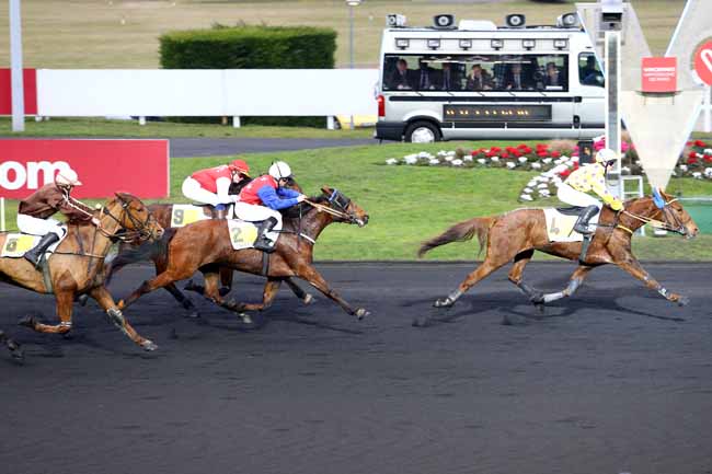 Photo d'arrivée de la course pmu PRIX DE CALAIS à PARIS-VINCENNES le Jeudi 2 février 2017