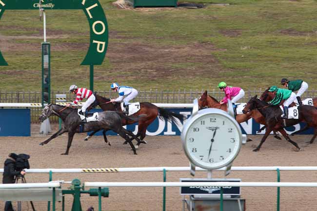 Photo d'arrivée de la course pmu PRIX DE LA ROUTE DES FERMETTES à CHANTILLY le Jeudi 2 février 2017