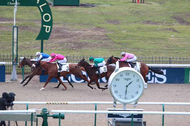 Photo d'arrivée de la course pmu PRIX DE CHASSELOUP à CHANTILLY le Jeudi 2 février 2017