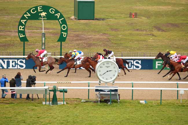 Photo d'arrivée de la course pmu PRIX DE LA ROUTE DE L'ANGLE à CHANTILLY le Jeudi 2 février 2017