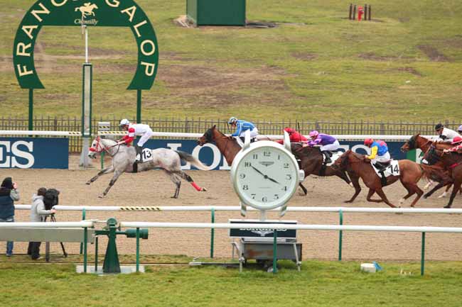 Photo d'arrivée de la course pmu PRIX DE L'ALLEE DES MERISIERS à CHANTILLY le Jeudi 2 février 2017