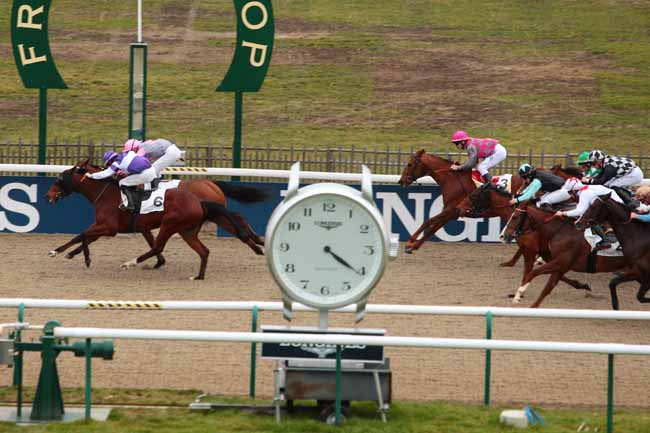 Photo d'arrivée de la course pmu PRIX DE L'ALLEE DE LA PETITE HAIE à CHANTILLY le Jeudi 2 février 2017