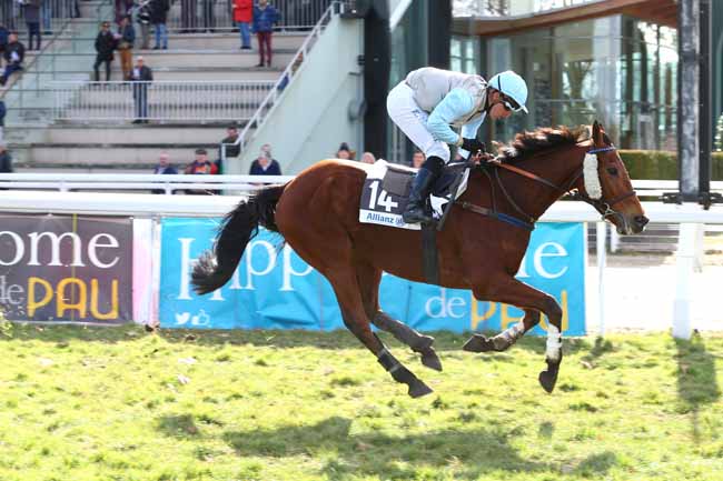 Photo d'arrivée de la course pmu PRIX ANNIE HUTTON à PAU le Vendredi 3 février 2017