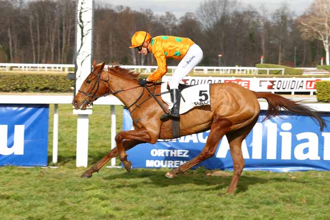 Photo d'arrivée de la course pmu PRIX DE SARRANCE à PAU le Vendredi 3 février 2017