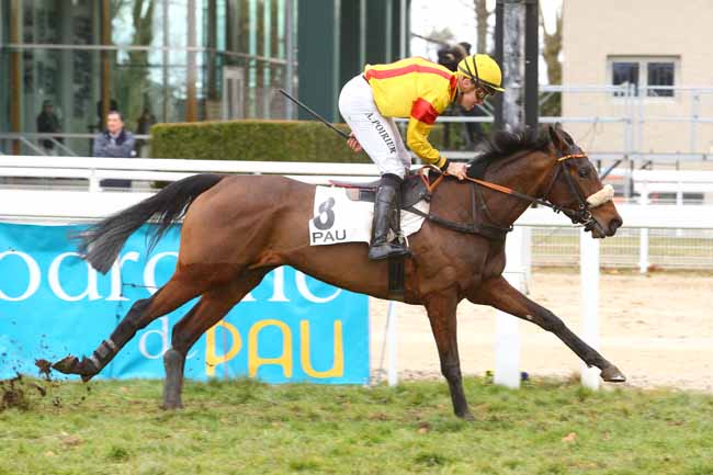 Photo d'arrivée de la course pmu PRIX CAMILLE DUBOSCQ à PAU le Vendredi 3 février 2017