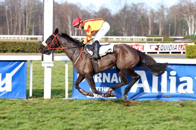 Photo d'arrivée de la course pmu PRIX DE LA CROIX DU PRINCE à PAU le Vendredi 3 février 2017