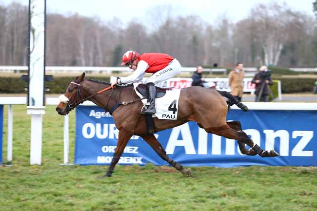 Photo d'arrivée de la course pmu PRIX DE L'AVENIR - SD RACING à PAU le Vendredi 3 février 2017